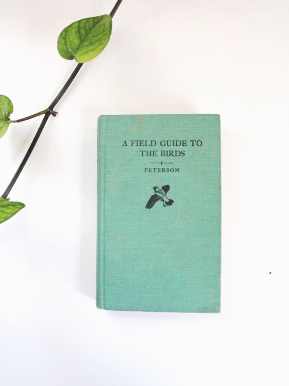 A Field Guide To The Birds By Peterson Vintage Hardcover Book 43rd Printing Orni